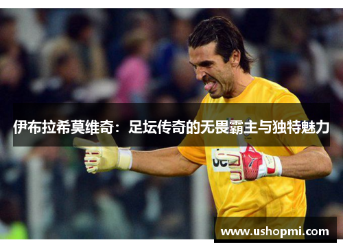伊布拉希莫维奇：足坛传奇的无畏霸主与独特魅力