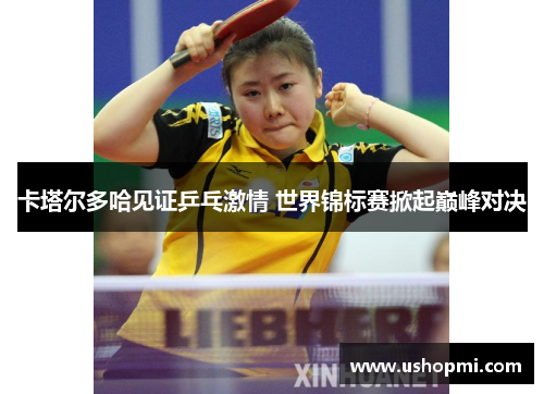 卡塔尔多哈见证乒乓激情 世界锦标赛掀起巅峰对决