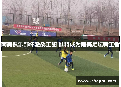 南美俱乐部杯激战正酣 谁将成为南美足坛新王者 南美俱乐部杯激战正酣 谁将成为南美足坛新王者