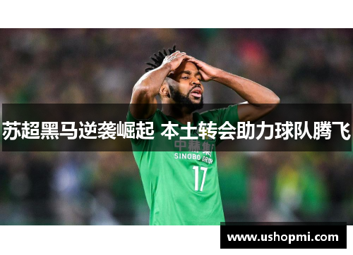 苏超黑马逆袭崛起 本土转会助力球队腾飞