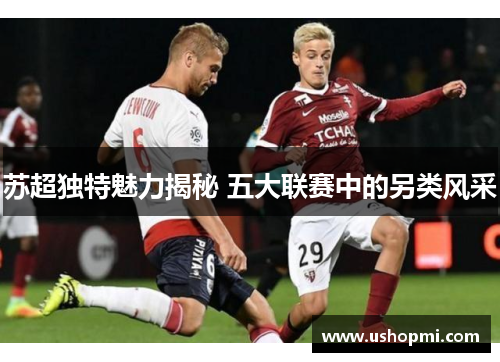 苏超独特魅力揭秘 五大联赛中的另类风采